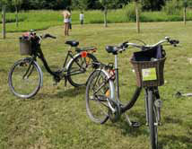 Vélos en location de la Halle aux vélos